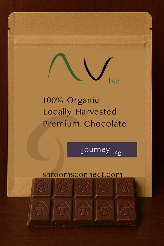 Journey Bar - Go deep. Discover within